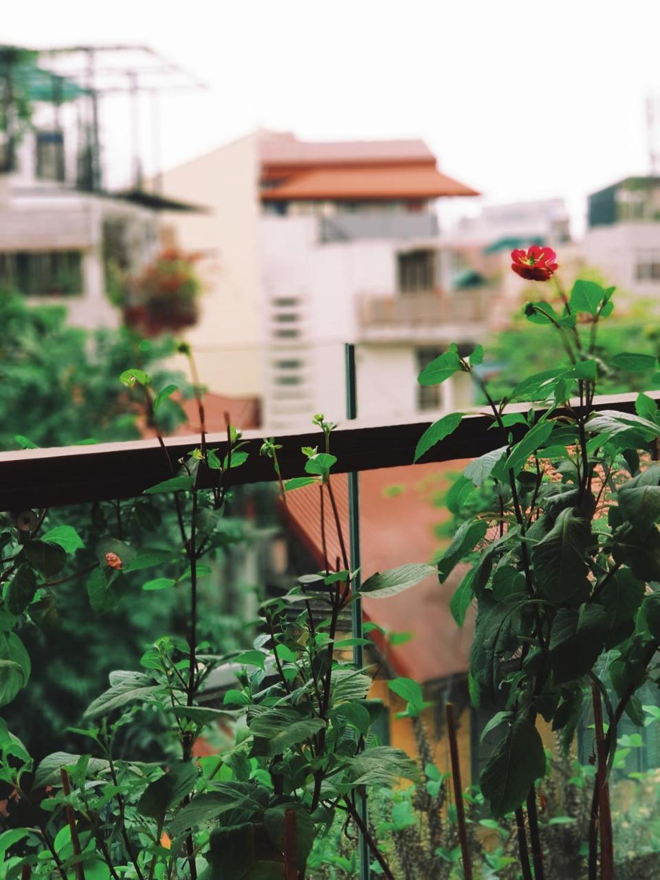Apartmán Ali House Hanoj Exteriér fotografie